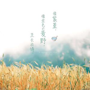 中国好黄站免费下载安装
